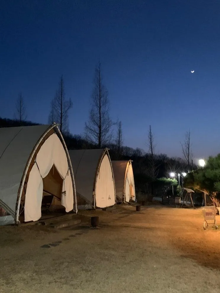 세종 글램핑 다온숲 애견 동반 가능한 애견글램핑