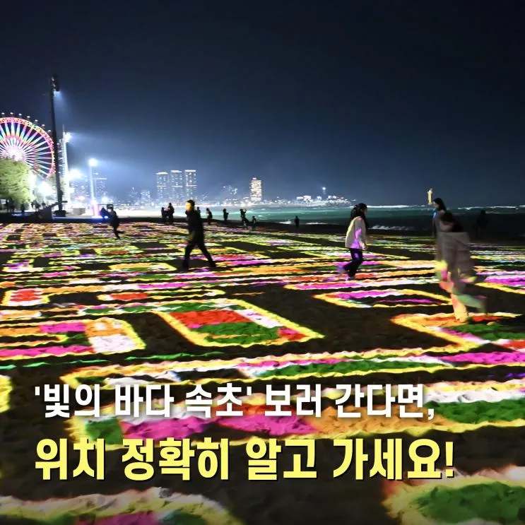 속초 아이와 가볼만한곳 속초해변 볼거리 빛의바다 미디어아트... 