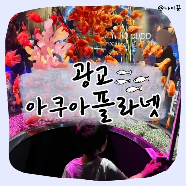 광교 아쿠아플라넷 할인 총정리, 최저가 예매·주차·관람 꿀팁