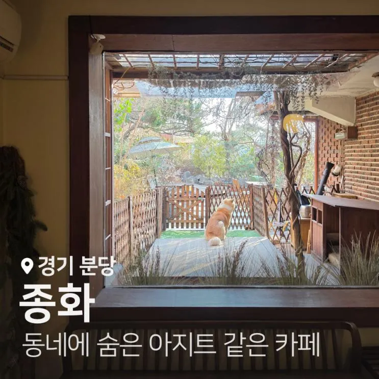 성남 종화 : 동네에 숨어있던 아지트같은 카페｜주차 정보