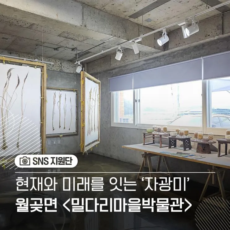 김포의 이색 박물관 '밀다리마을박물관'