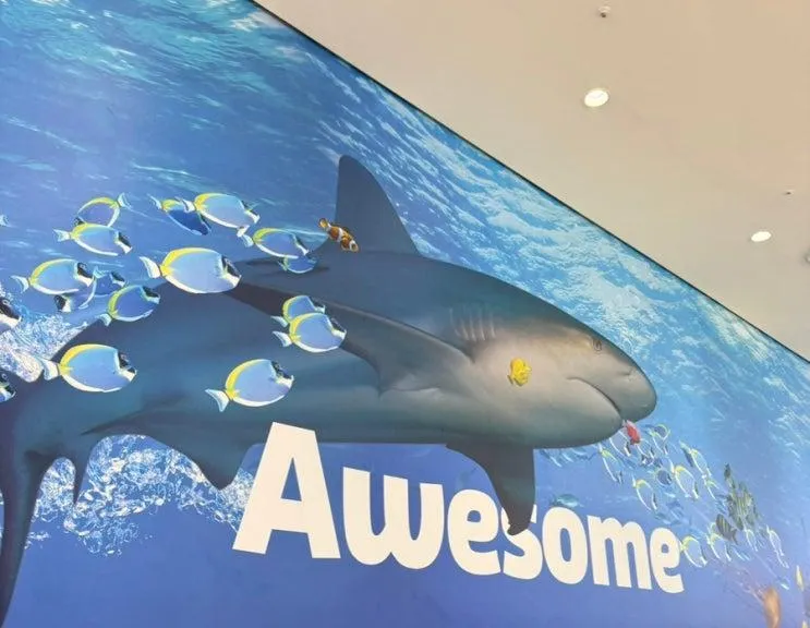 코엑스(씨라이프 아쿠아리움) + 봉은사 다녀옴!(코엑스에서 바닥만 보고 다녀도 길을 잃지 않아요)
