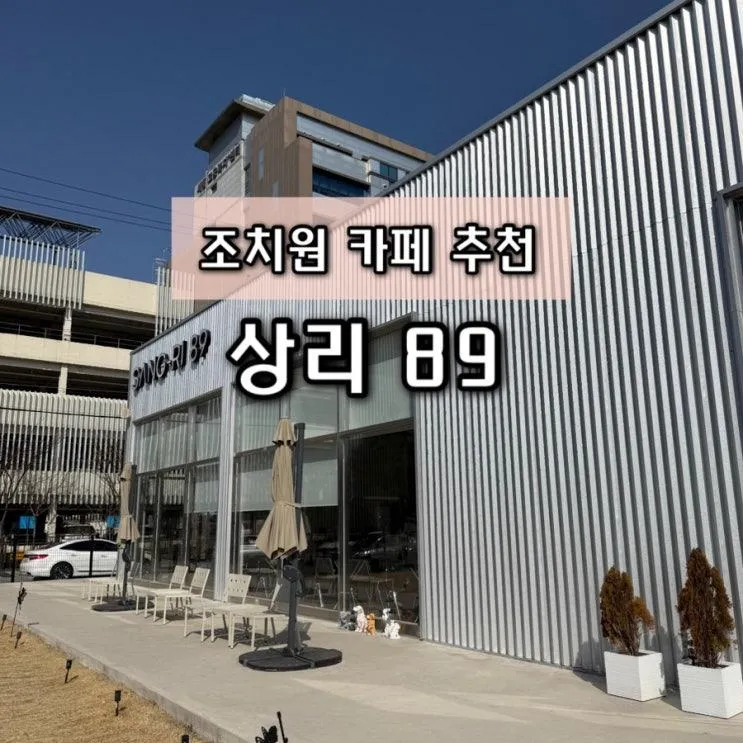 [세종/조치원] 대형견·아기 동반 완벽 가능! 마당 있는 에그타르트 맛집 카페 상리89🐕‍🦺👶🍮✨