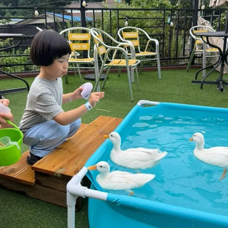 경기도 광주 아이랑 가볼만한곳 햄찌랑토찌랑 동물체험카페 내돈내산 후기