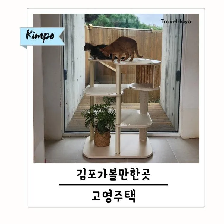 김포 고영주택 아이랑 가볼만한곳 주말 방문 후기