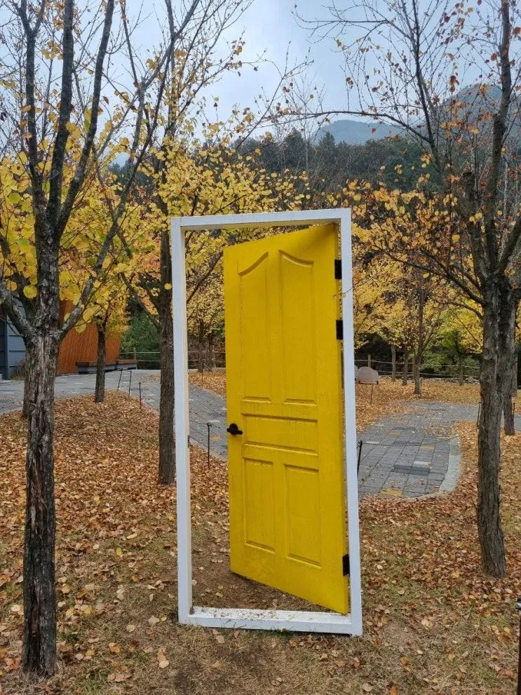 [춘천숲체원]춘천 힐링장소