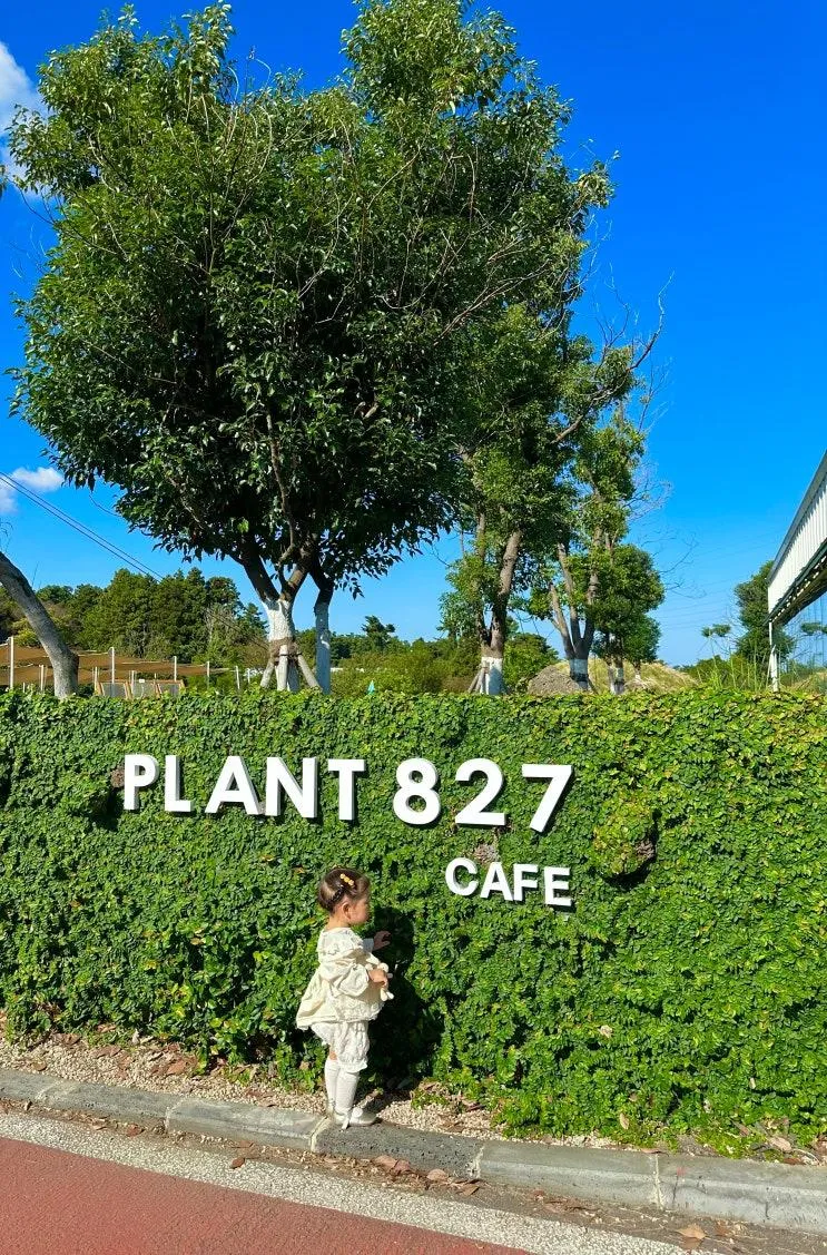 제주 자연 in PLANT827, 커피마실 시간이 없어요! 17개월 아기랑 방문한 ....