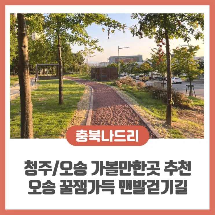 [청주/오송 가볼만한곳 추천] 산책하기 좋은 '오송 꿀잼가득 맨발걷기길' 직접 걸어본 후기
