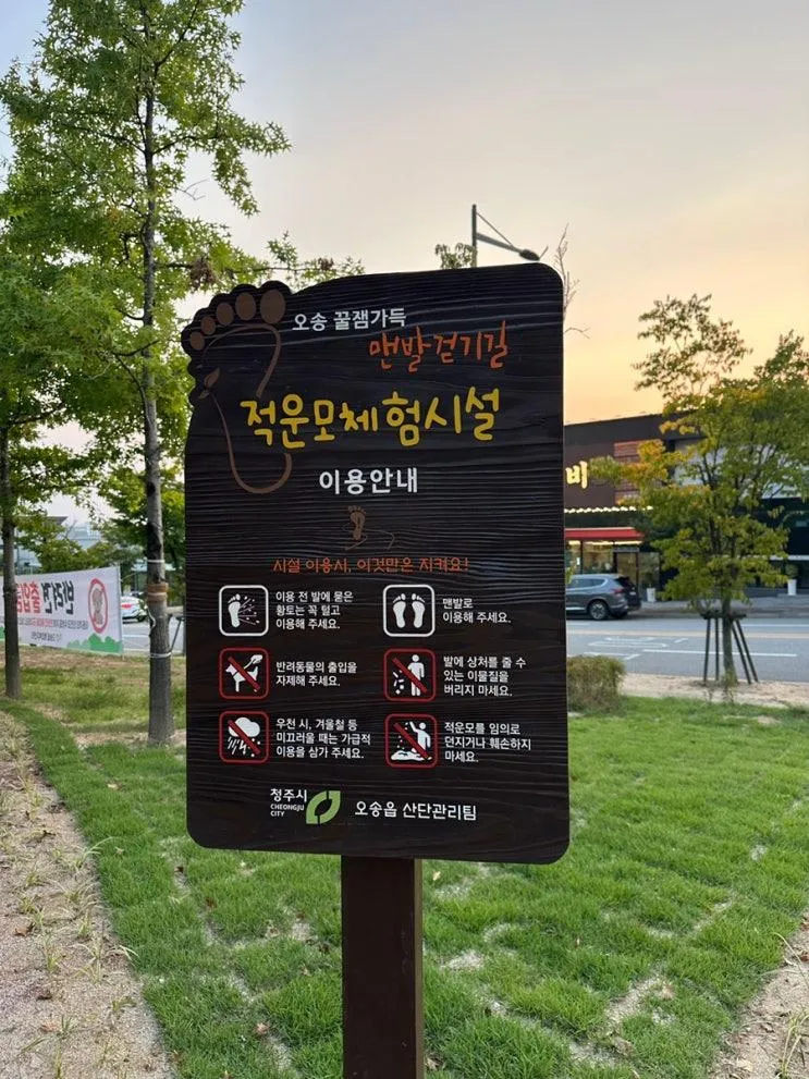 오송 맨발걷기 길 아이들과 다녀왔어요! 꿀잼가득 황토체험장 이야기...🥲