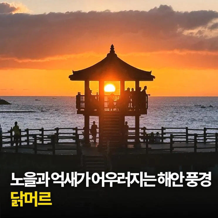 10월 제주도 가볼만한곳 제주 일몰 명소 닭머르해안