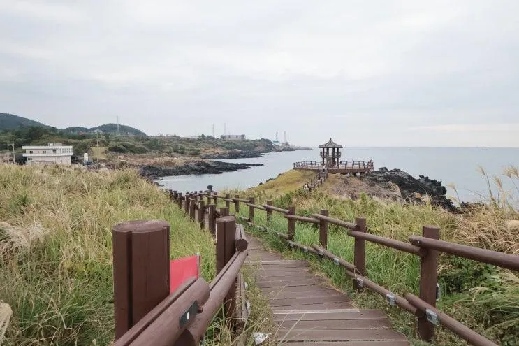제주 가족여행 함덕 가볼만한곳 닭머르, 아이 부모님과 걷기 좋은 곳