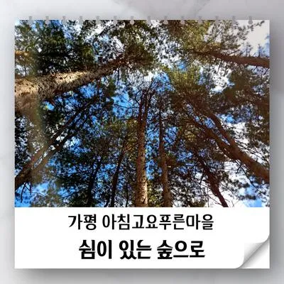 가평잣나무숲길에서 즐기는 1박2일형 힐링체험 여행
