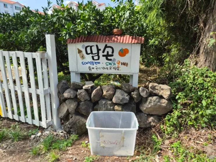 제주시 도심 도예체험 땀손!