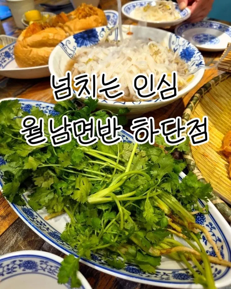 월남면반 하단점, 맛있는 베트남 음식과 친절함에 기분 좋은 점심 모임