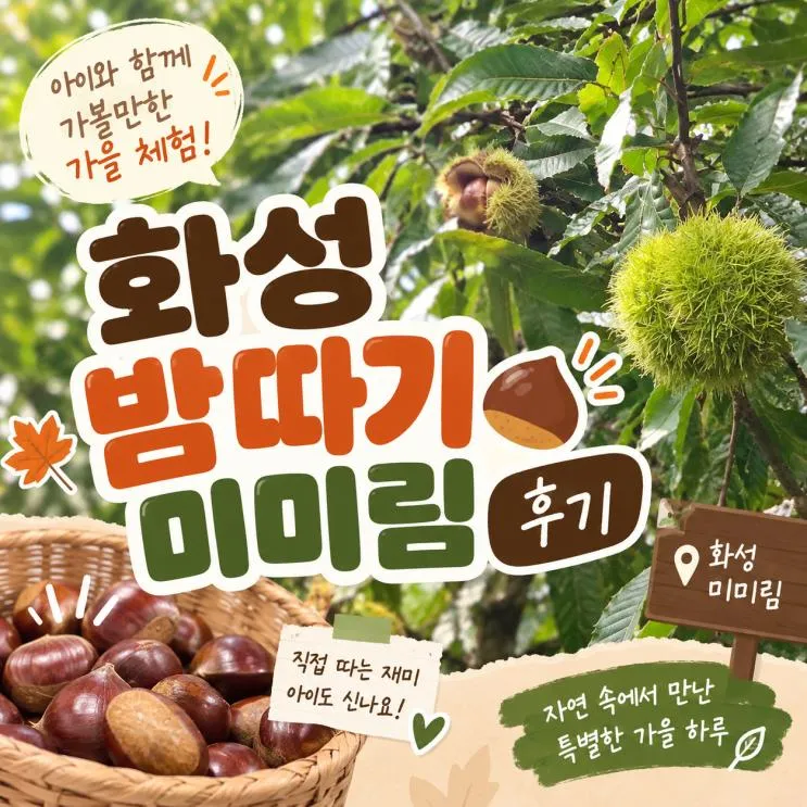 화성 찐 여행 후기, 미미림 밤따기 체험 다녀왔어요