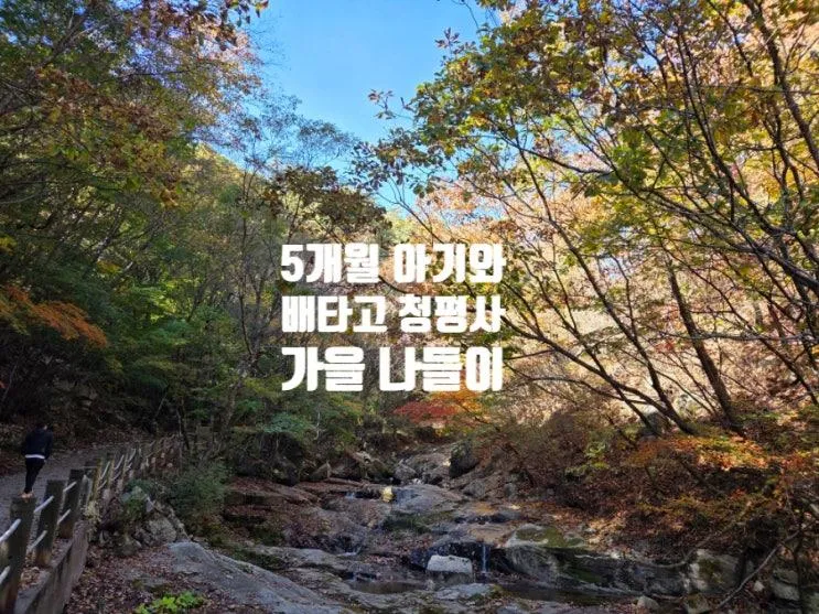 [춘천 아기랑 가볼만한곳 ] 5개월 아기와 첫 배 타기 도전! 청평사 가을 나들이