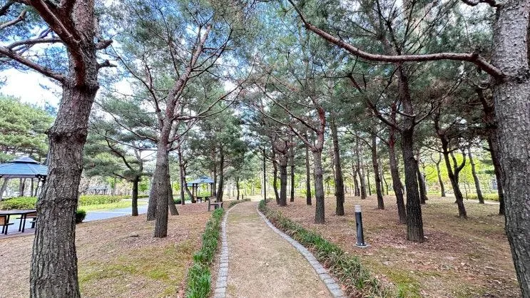 도시 바람길숲을 품은 증평 한울공원
