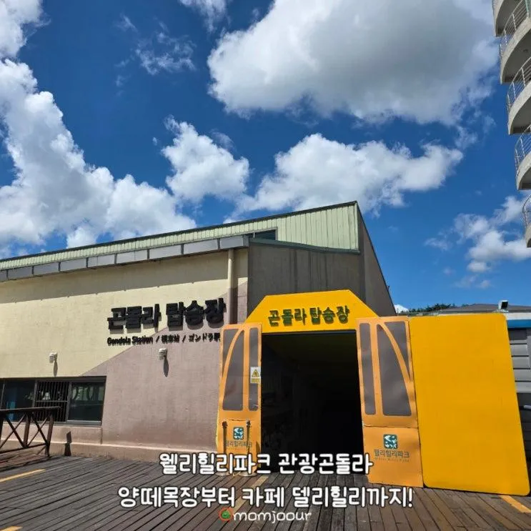 웰리힐리파크 관광곤돌라🚠 아이와 타본 후기｜가격·양떼목장·천국의계단·카페 델리힐리까지