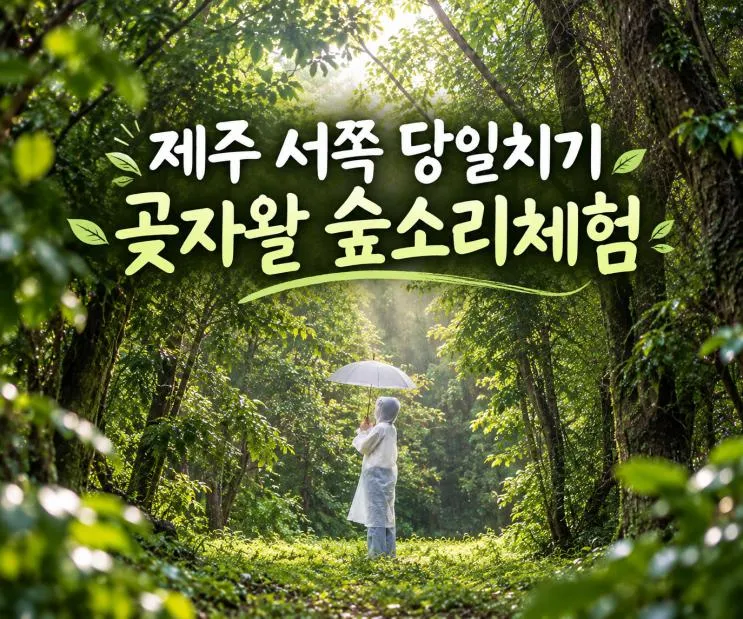 제주 서쪽 당일치기 여행 추천｜저지마을 곶자왈 숲소리 체험 코스