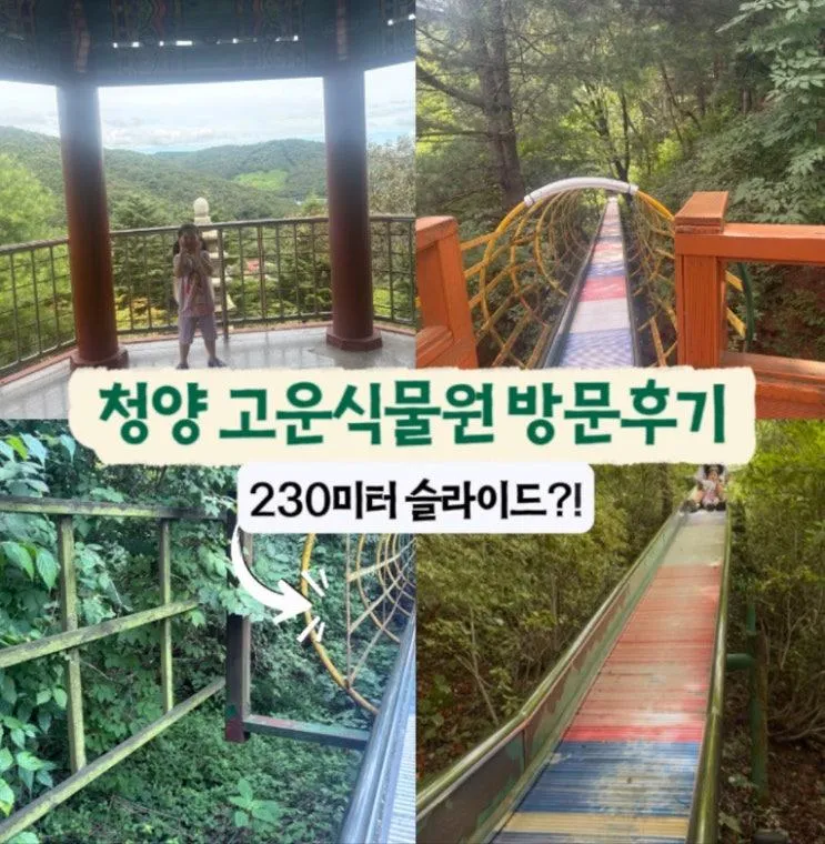 충남 청양 아이와 가볼만한곳 | 230m 미끄럼틀이 있는 거대한 민간 식물원 '고운식물원' 솔직 방문 후기