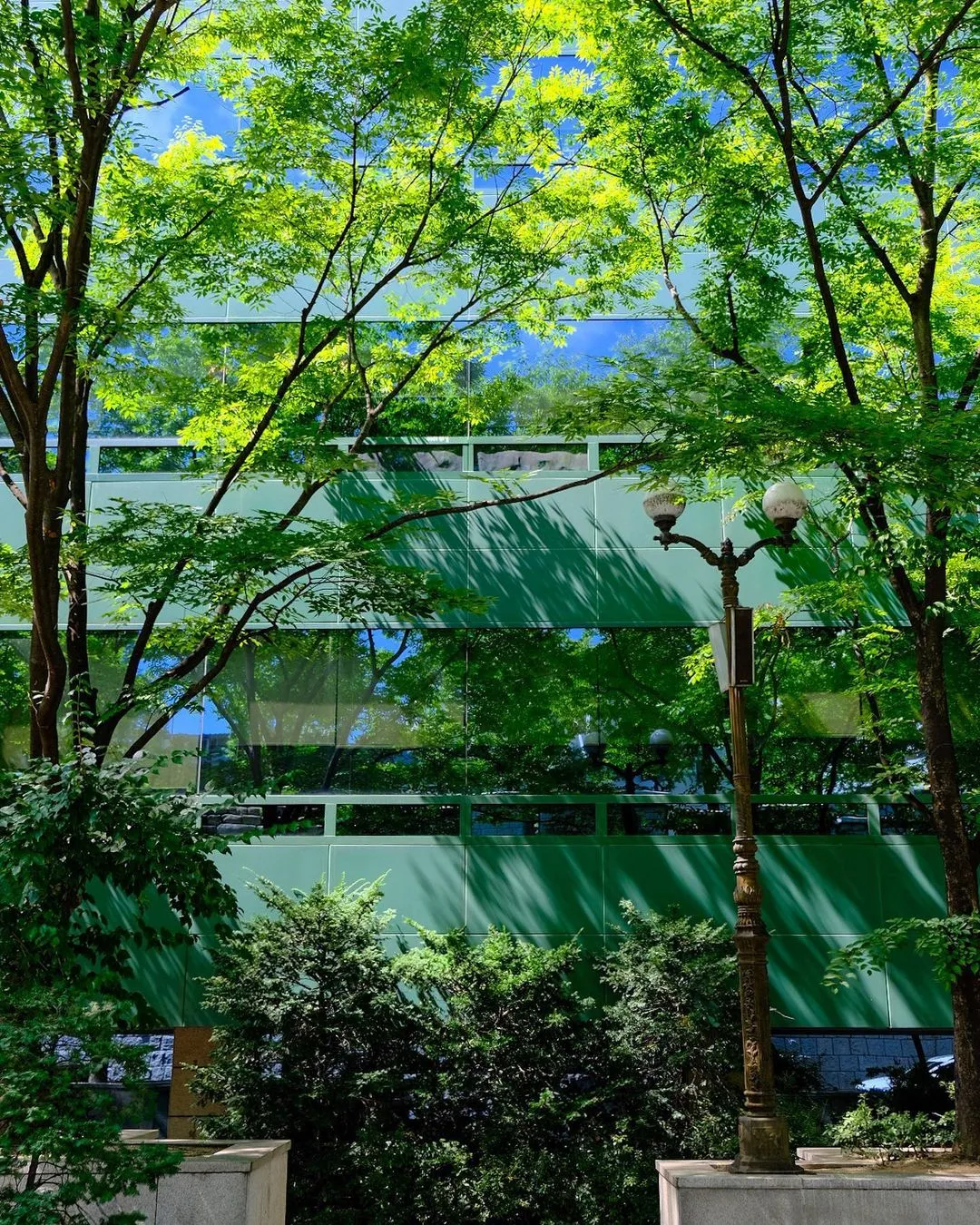 白凡広場公園 写真 18