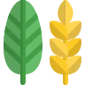 서울 근교
단풍 여행
