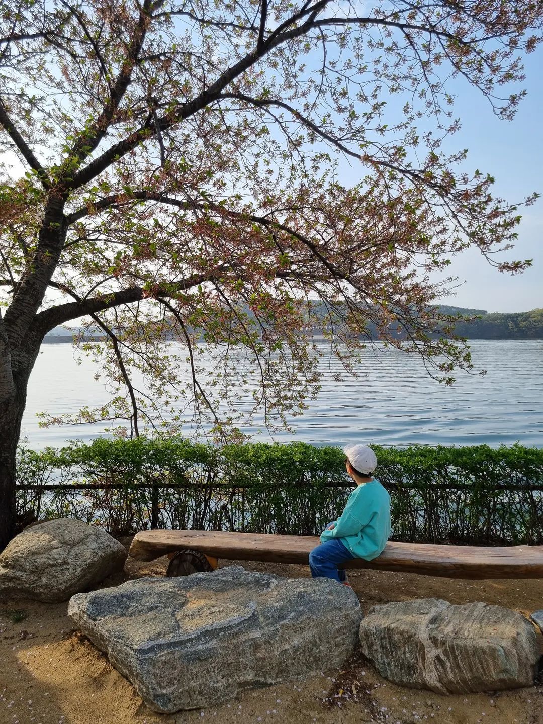 그린웨일