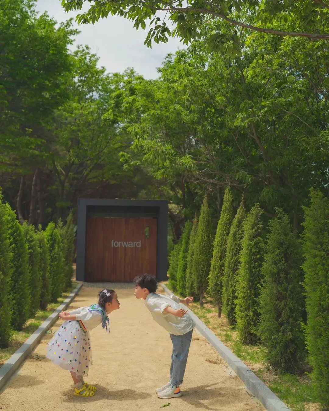 포워드