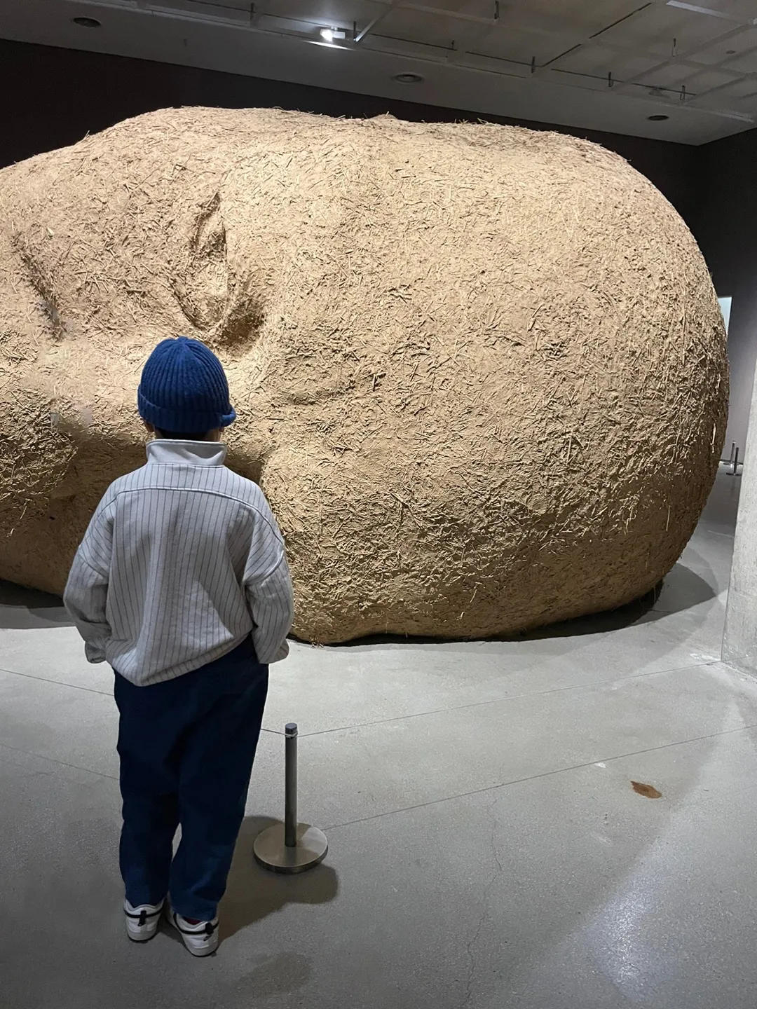 국립현대미술관 서울 사진 9