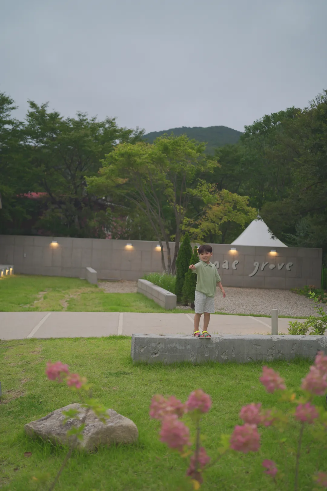 산내그로브