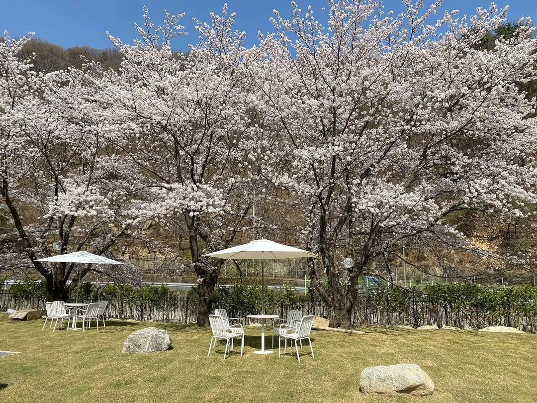 산내그로브