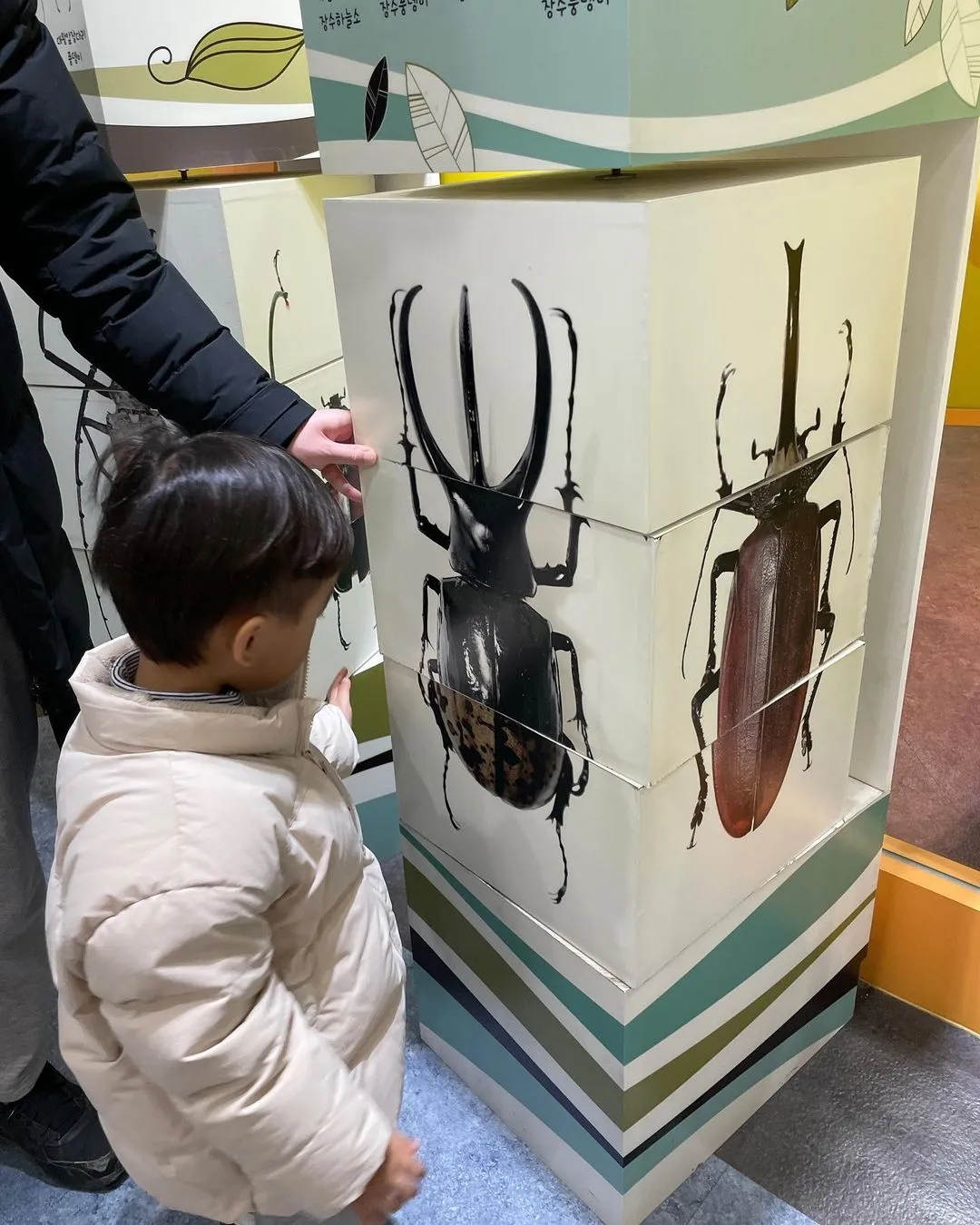 ヤンピョン昆虫博物館 写真 8