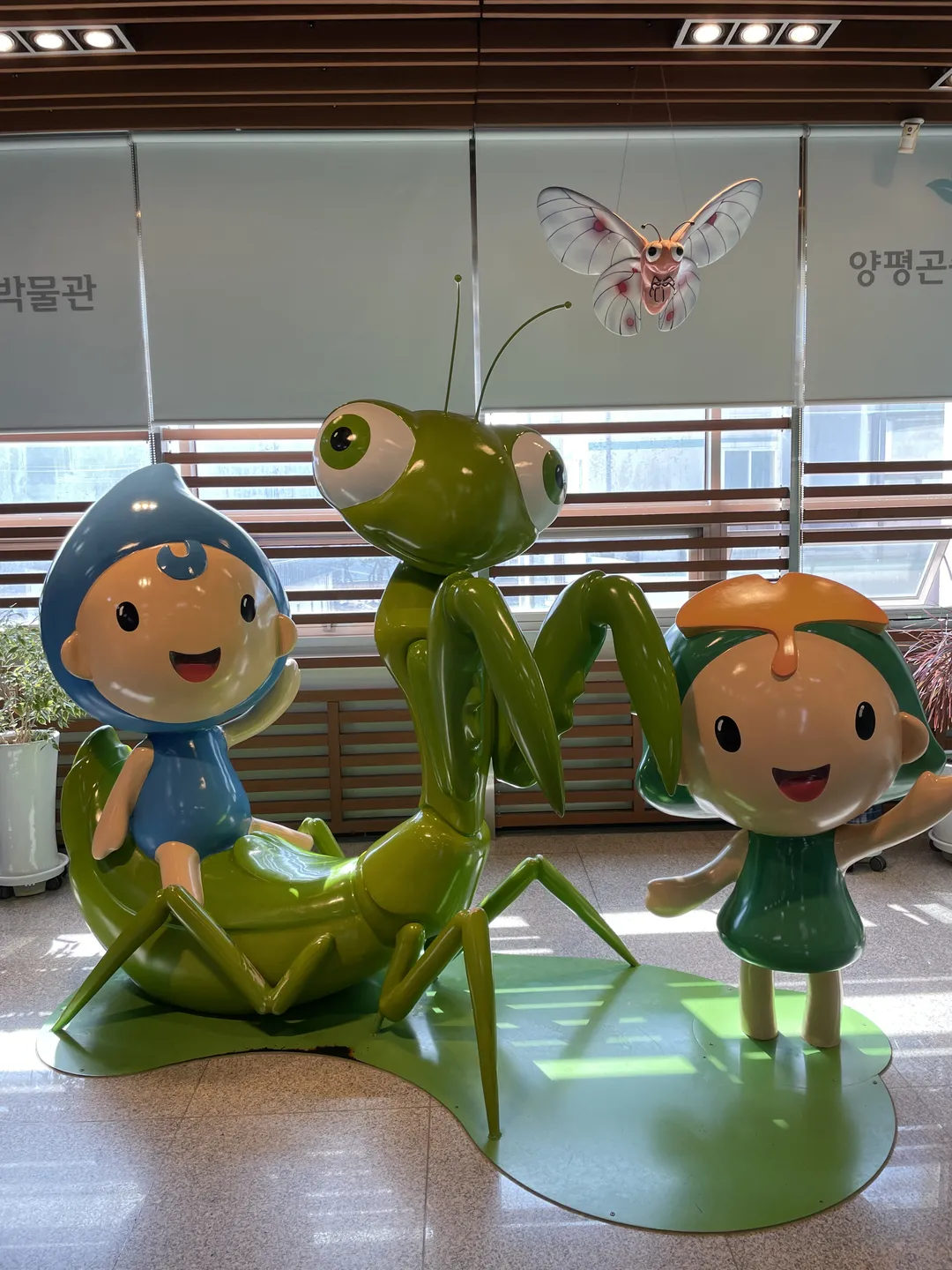 ヤンピョン昆虫博物館 写真 10