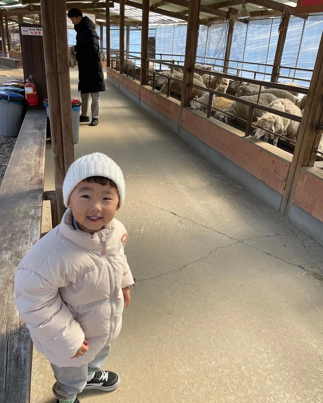 양평양떼목장