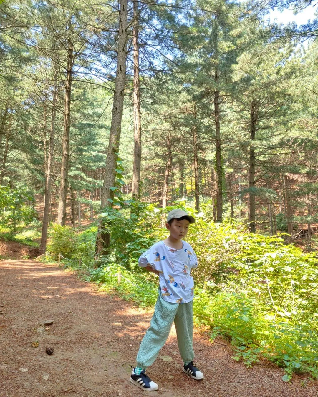 잣나무 유아숲체험원