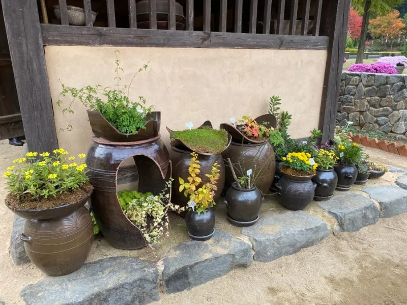 부천식물원 사진 8