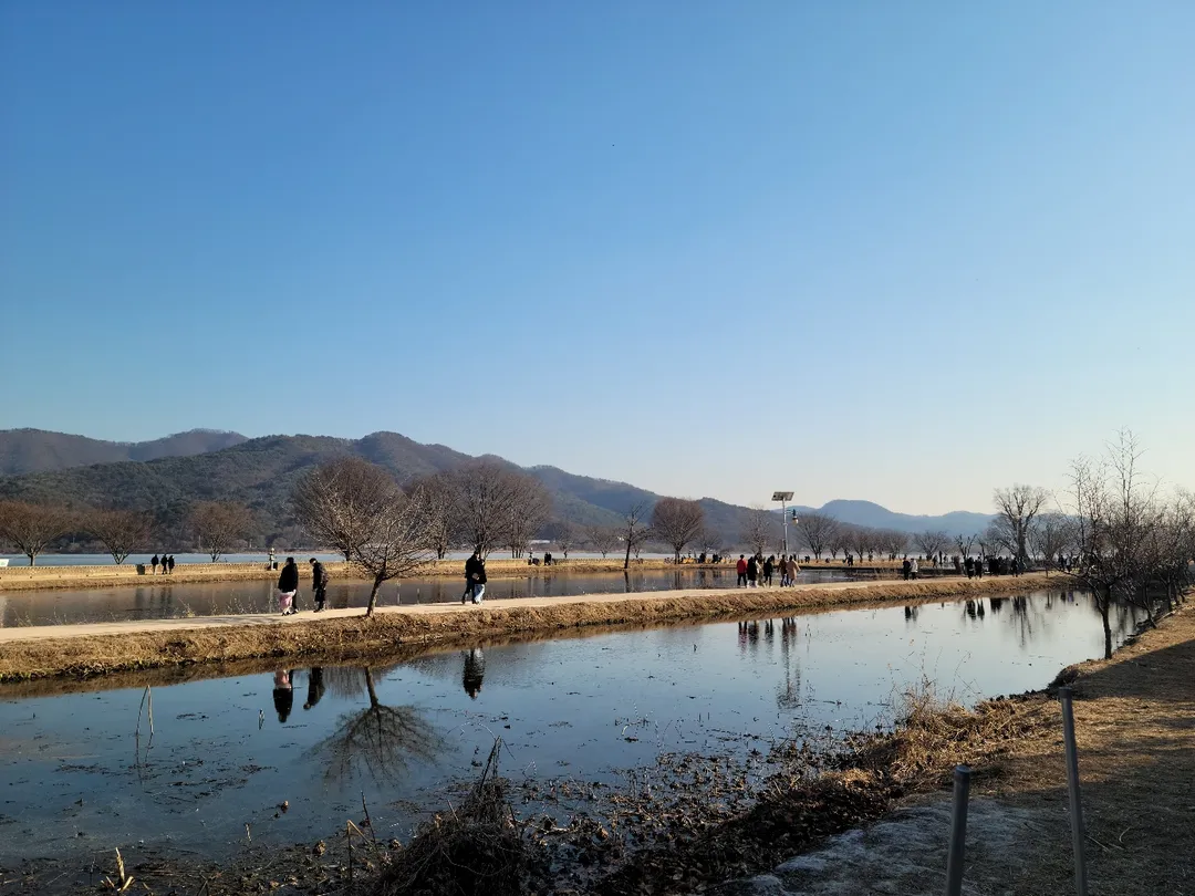 양평 두물머리 사진 11
