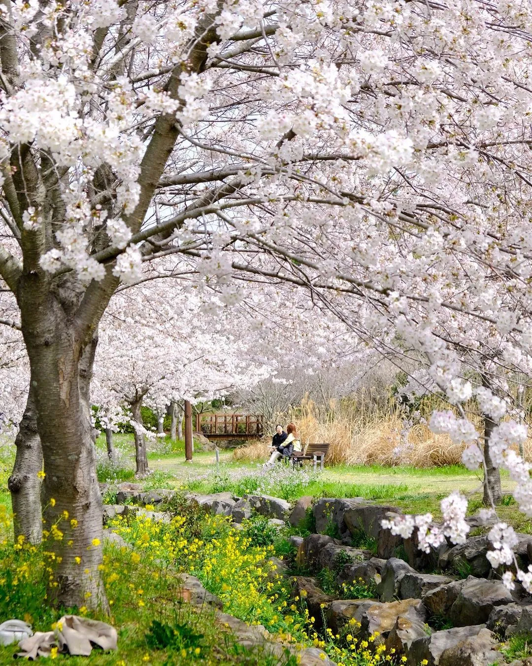 大王水泉ヨレ生態公園 写真 6