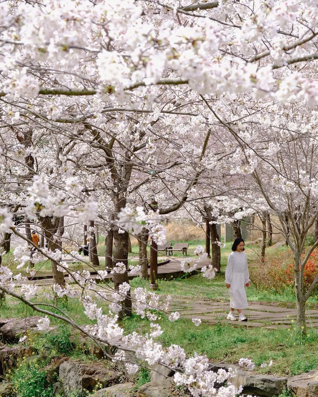 大王水泉ヨレ生態公園 写真 7
