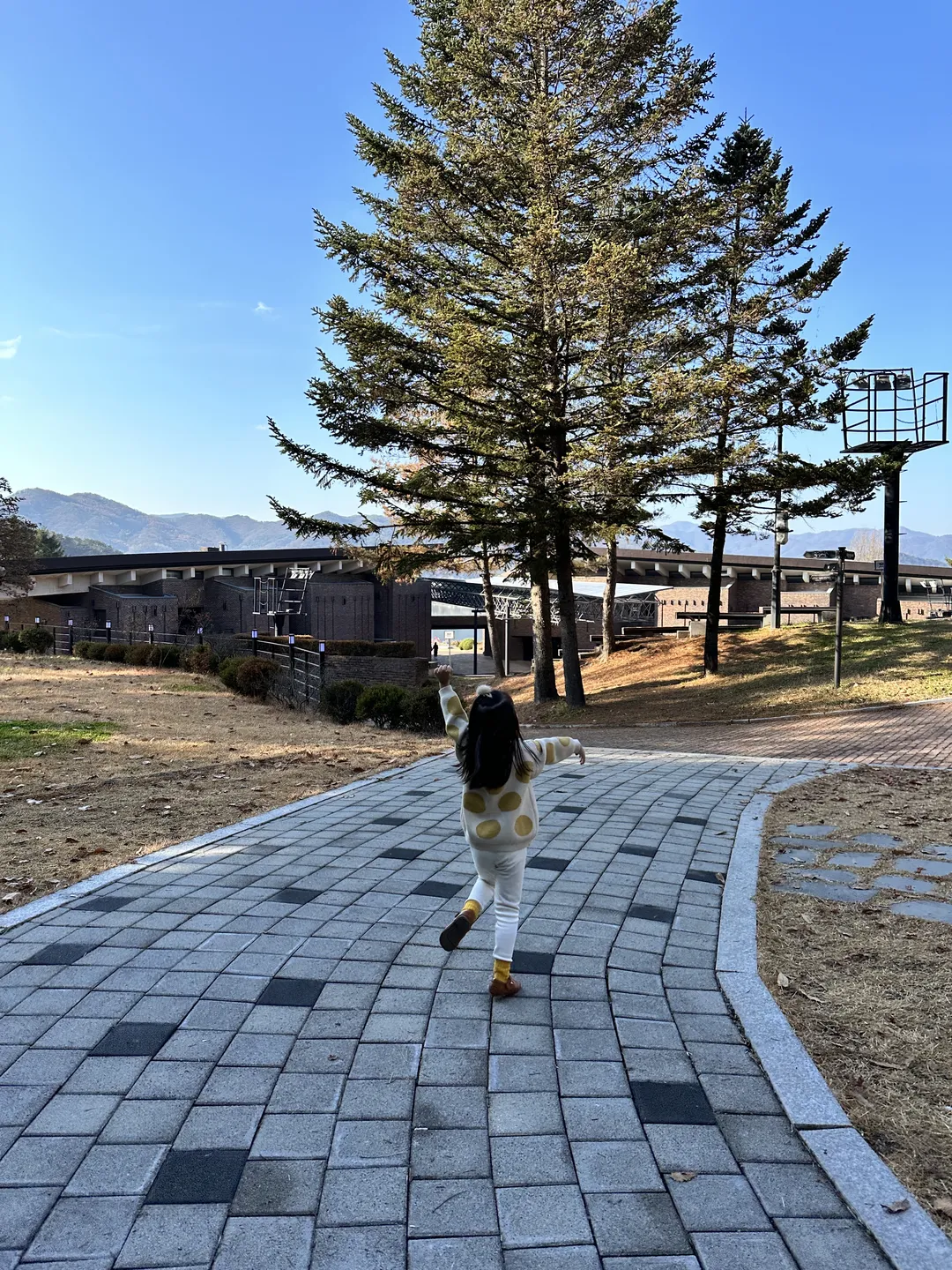 Samcheon Forest Experience Center for Young Children photo 13