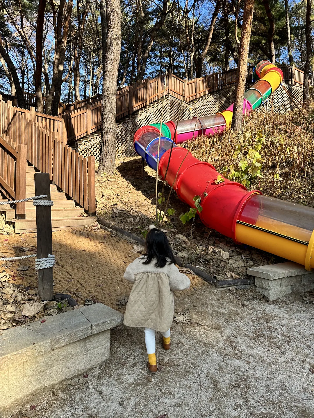 Samcheon Forest Experience Center for Young Children photo 10