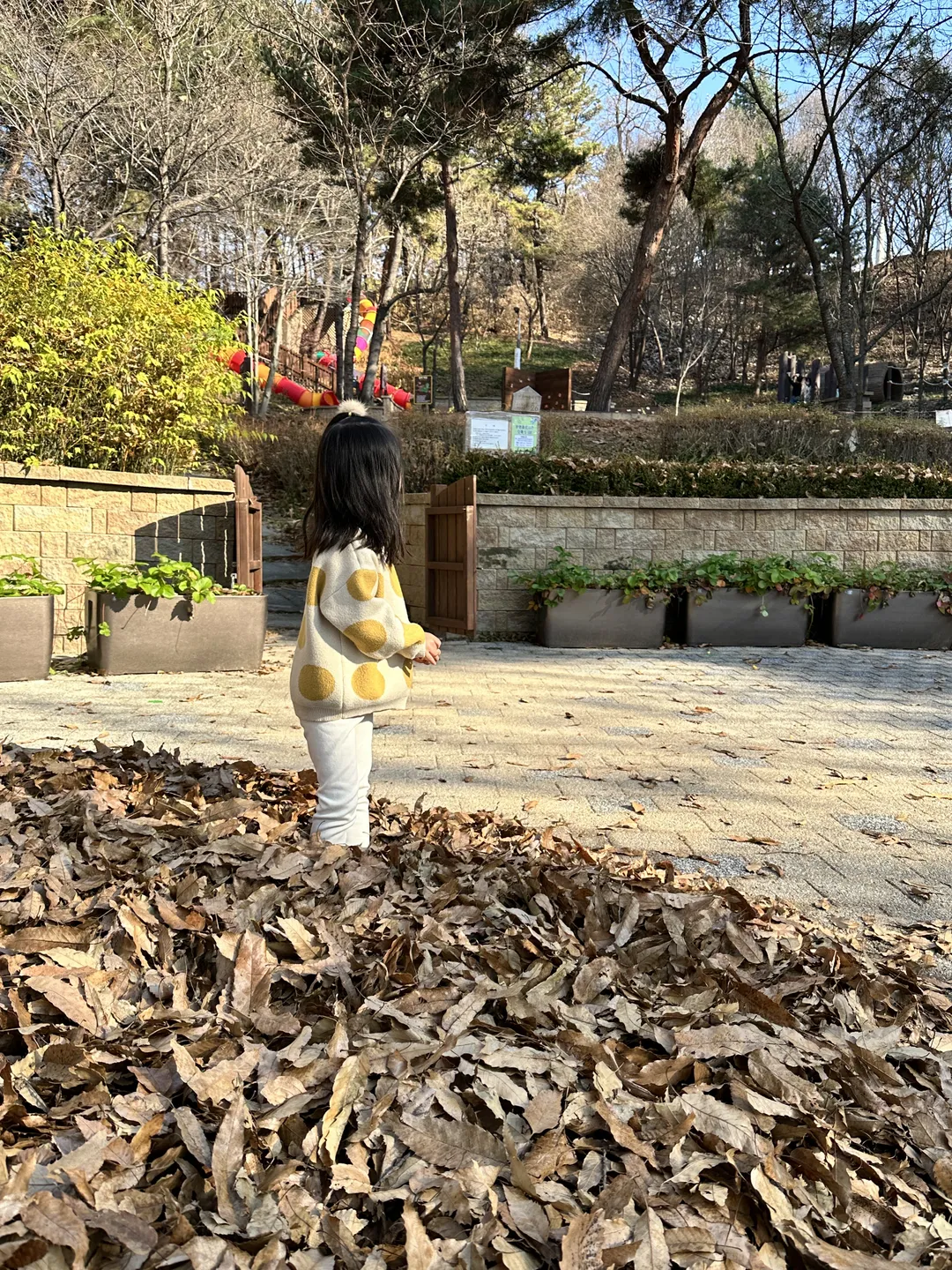 Samcheon Forest Experience Center for Young Children photo 12