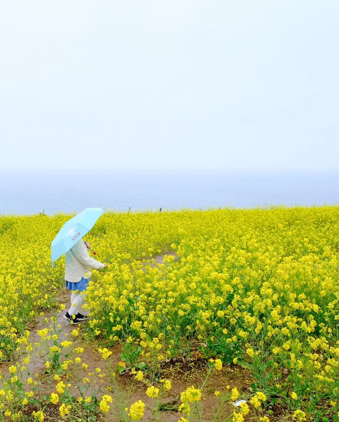 서우봉 사진 8