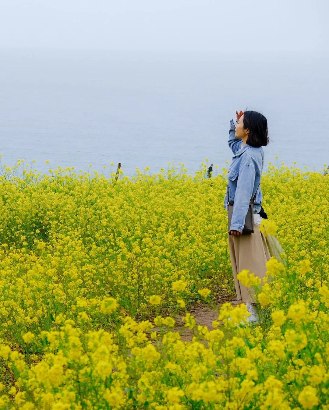 서우봉 사진 7