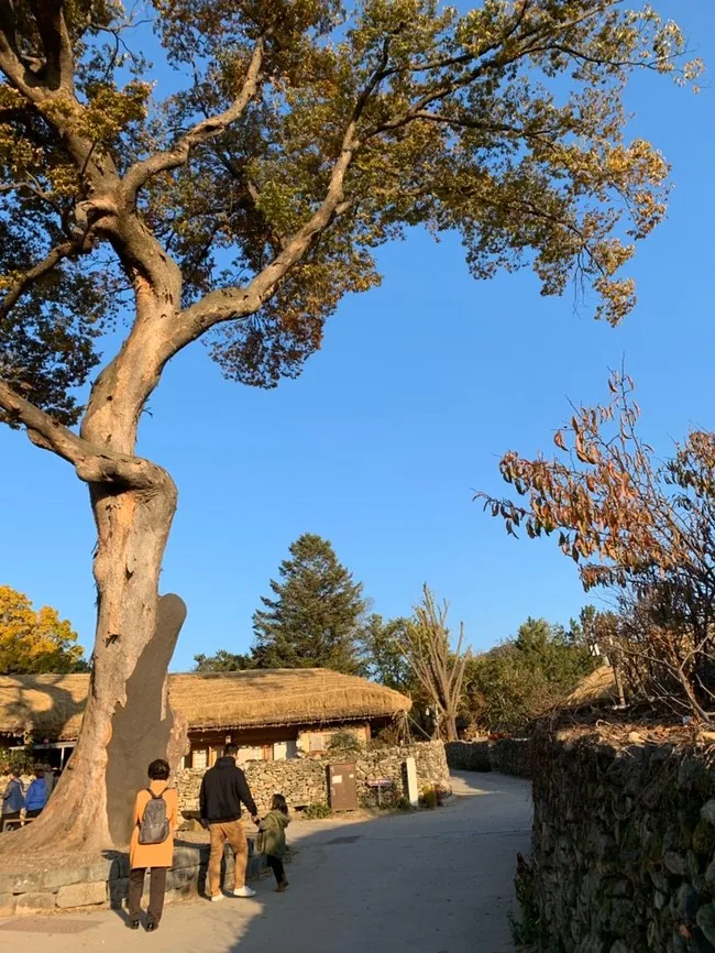 외암민속마을 사진 15