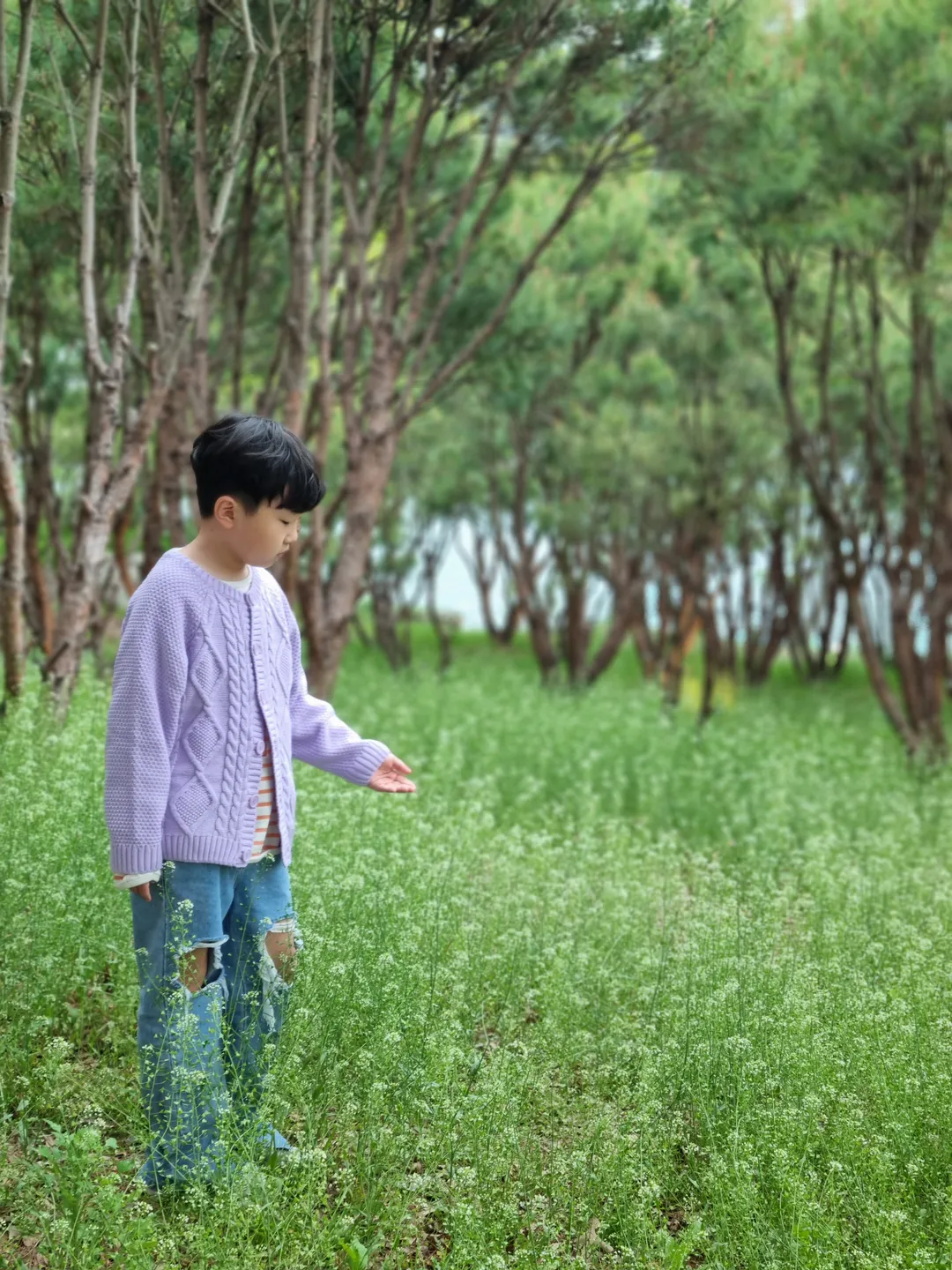브리끄 사진 8