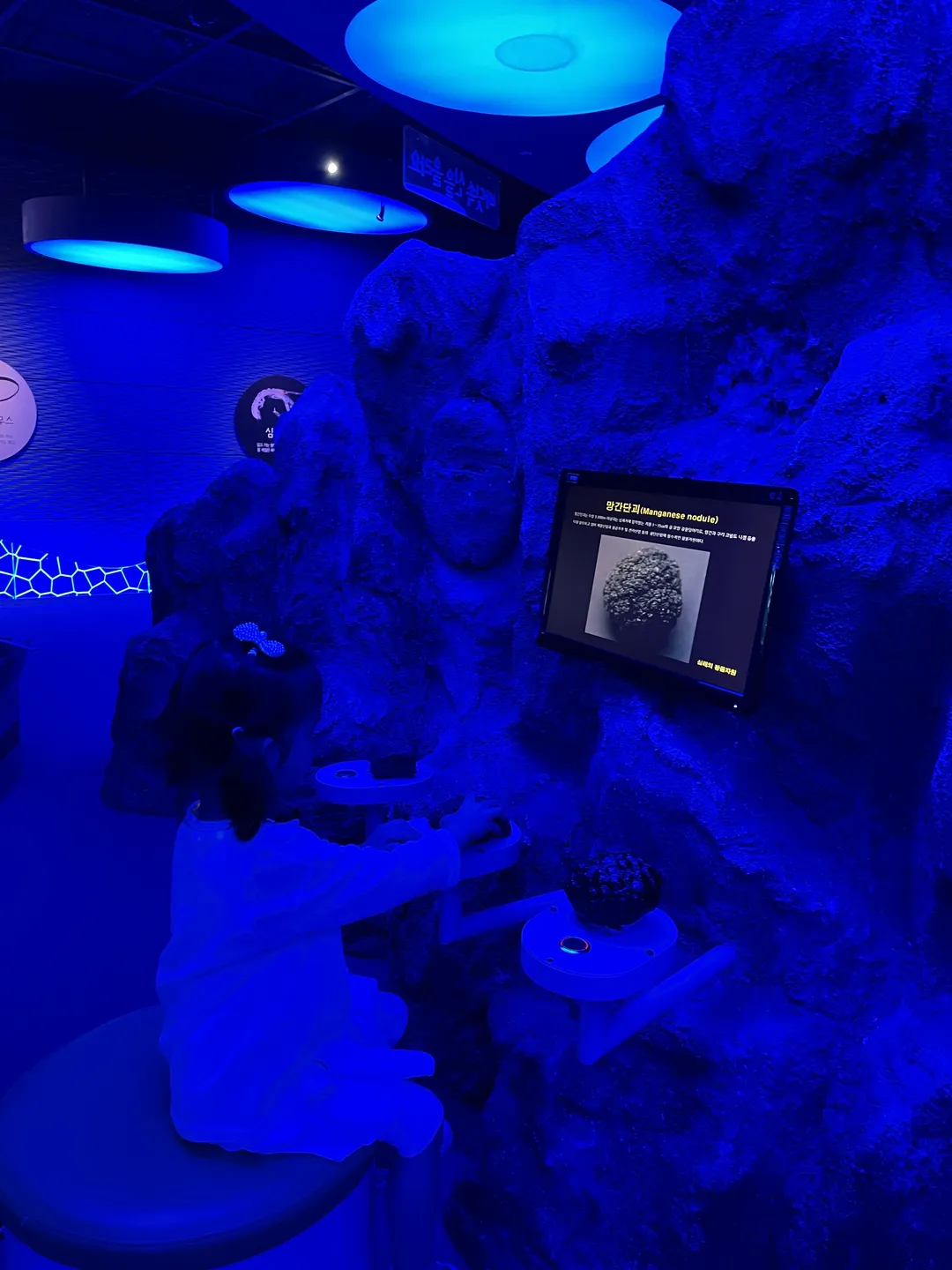 Mokpo Children's Sea Science Museum photo 16