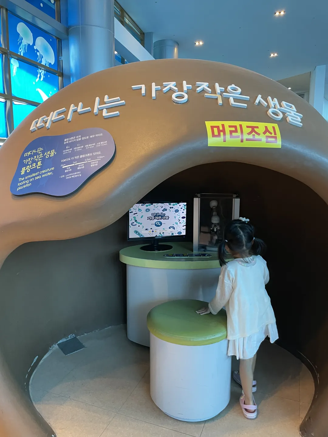 Mokpo Children's Sea Science Museum photo 10