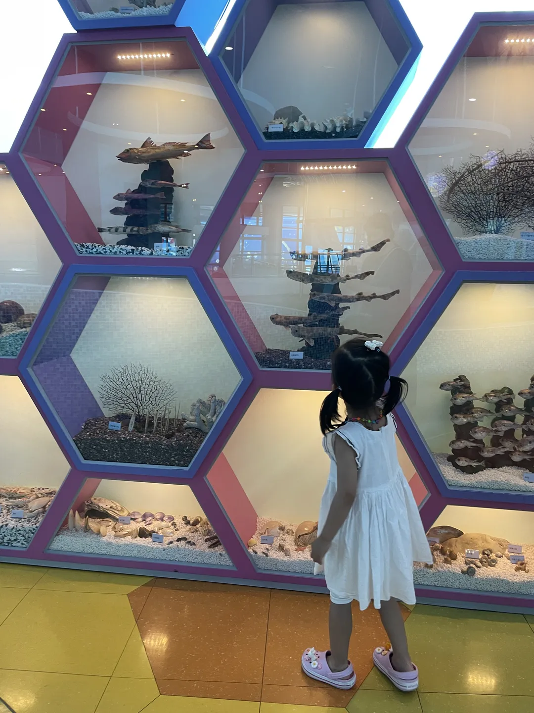 Mokpo Children's Sea Science Museum photo 12