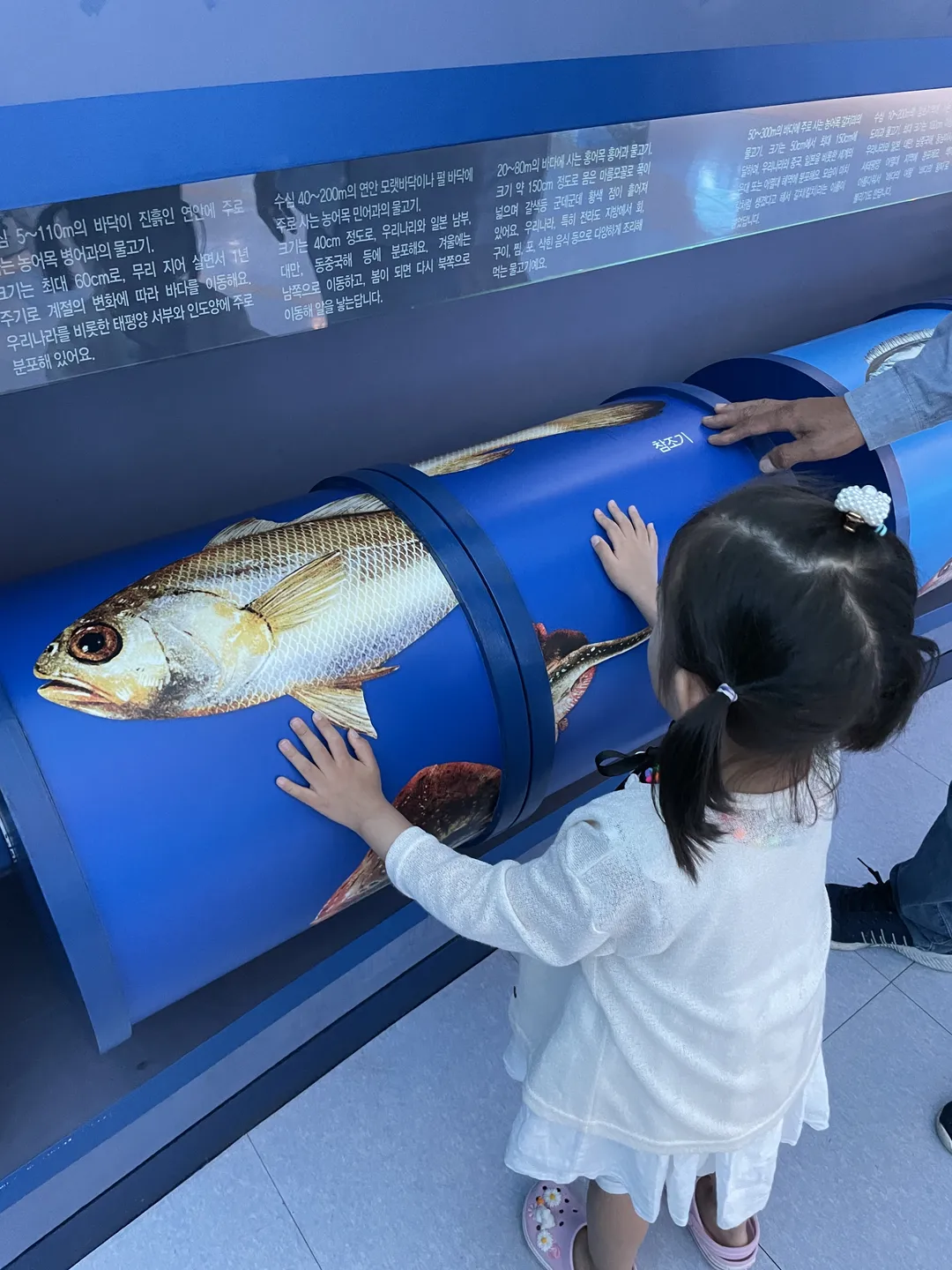 Mokpo Children's Sea Science Museum photo 7